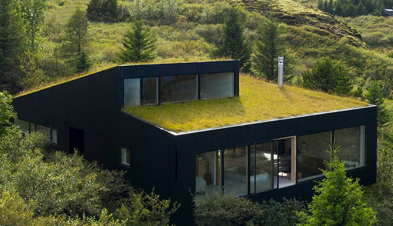 lich0su-cua-green-roof-1