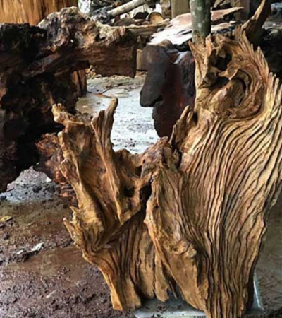 Tìm hiểu về gỗ lũa và ứng dụng của gỗ lũa trong đời sống