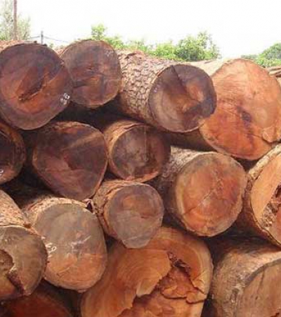 Tìm hiểu về gỗ hương và những ưu, nhược điểm của gỗ hương