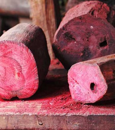 Tìm hiểu về gỗ hồng đào